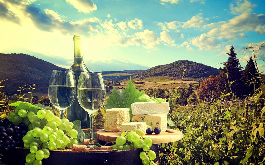 Best Yarra Valley Wine Tours 